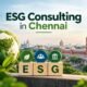 ESG Consulting in Chennai